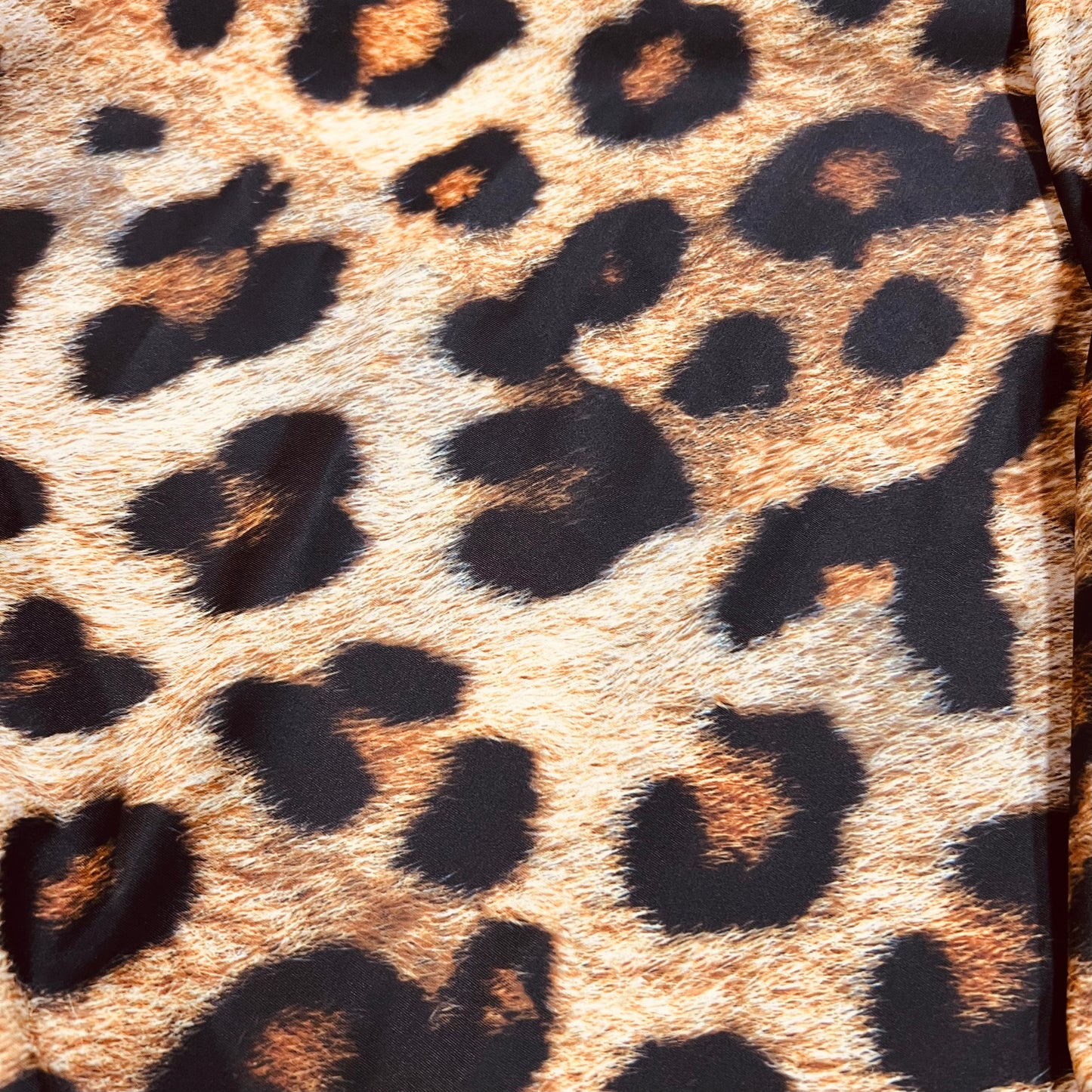 Leopard Print