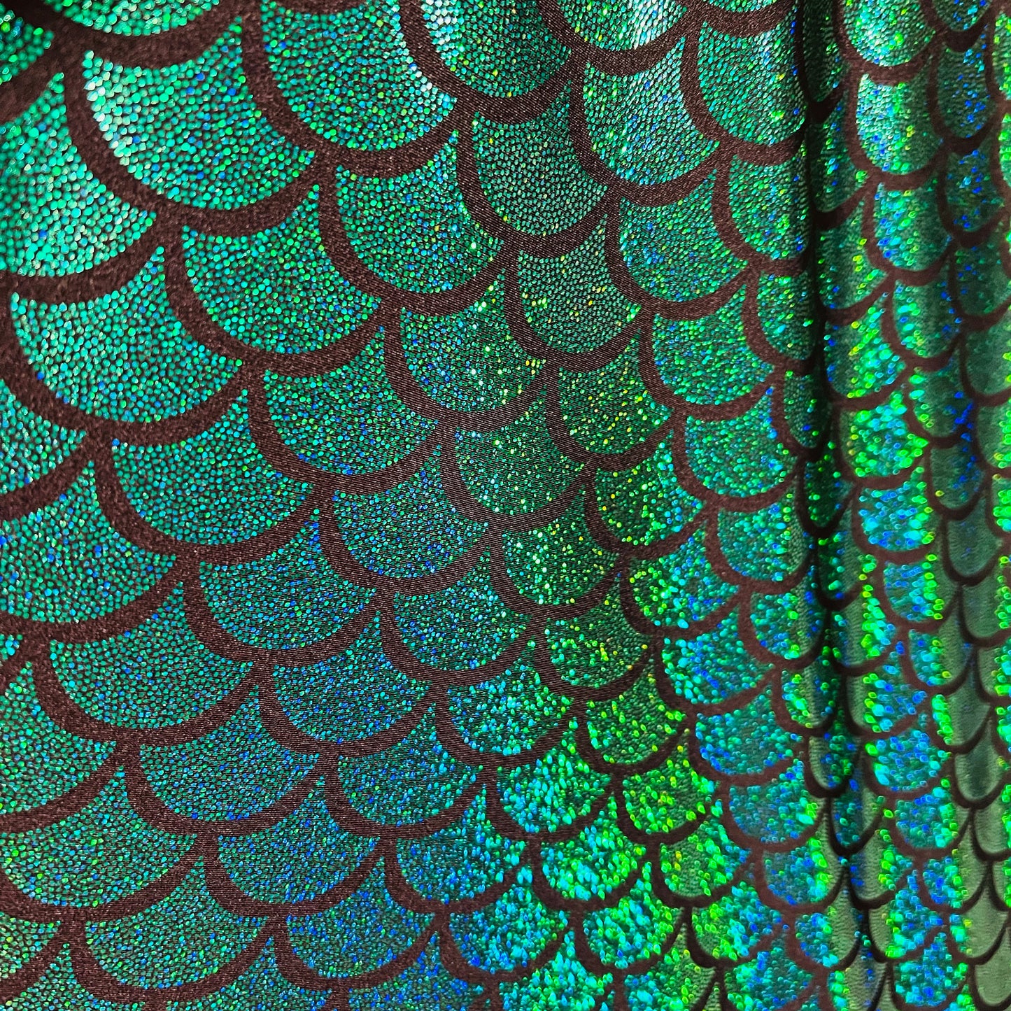 Green Holographic Dragon Scale