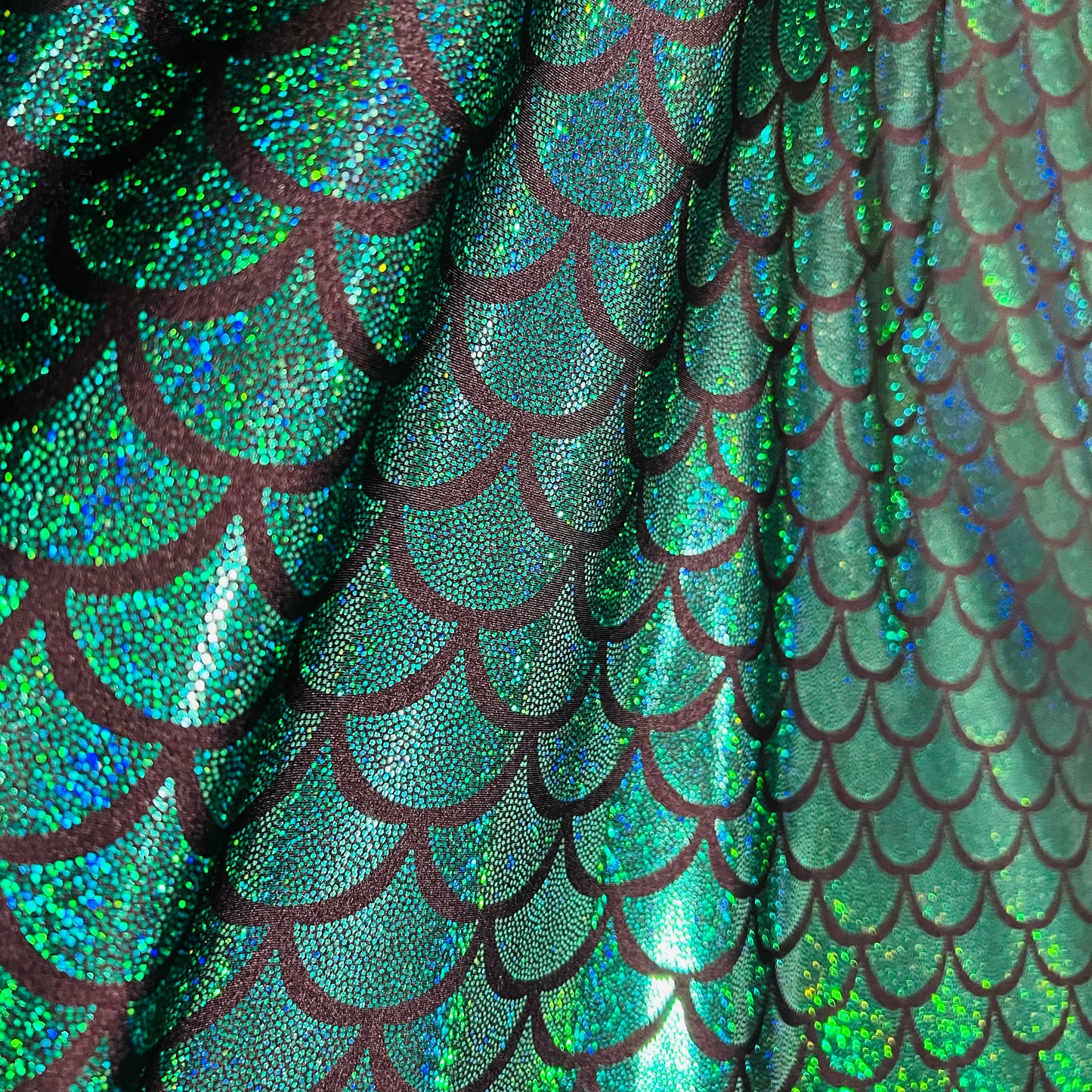 Green Holographic Dragon Scale