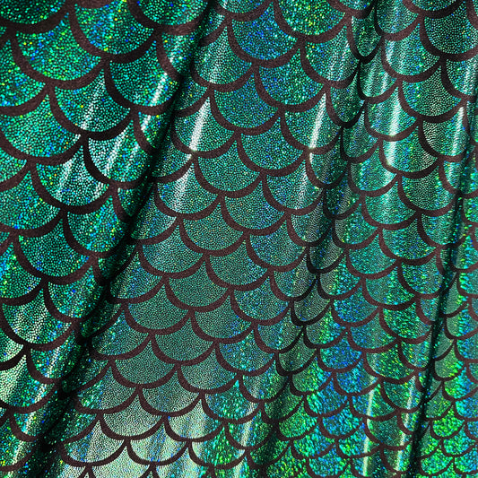 Green Holographic Dragon Scale