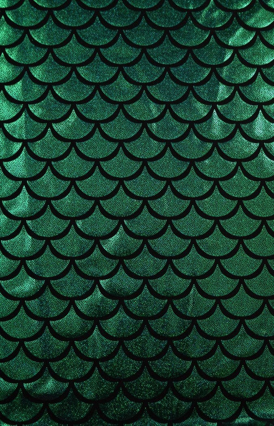 Green Holographic Dragon Scale